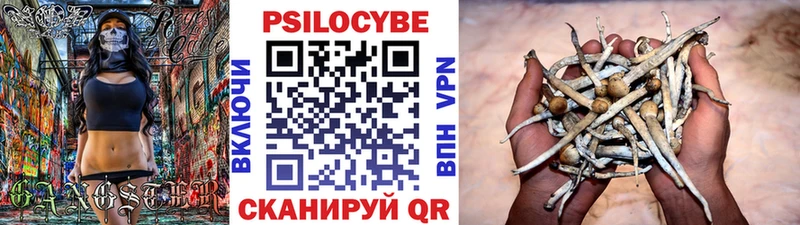 Галлюциногенные грибы прущие грибы  Елец 