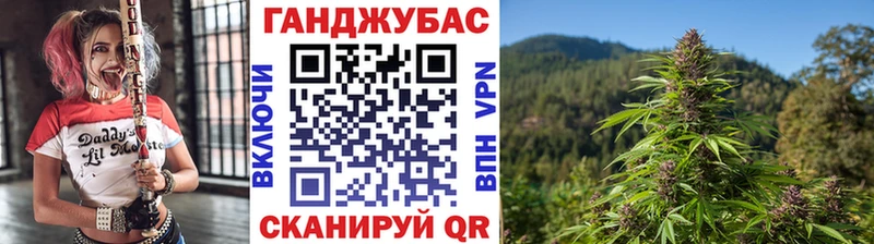 где найти наркотики  Елец  Конопля сатива 